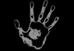 56456468486485454images 2